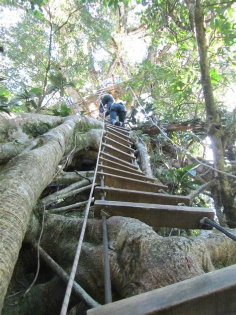 The extreme canopy has the only two we will take you on a 4 km route through the monteverde cloud forest and you will be able to admire do not think about it, we are the only extreme and original adventure tour in monteverde. Original Canopy Tour at Monteverde - Central American ...