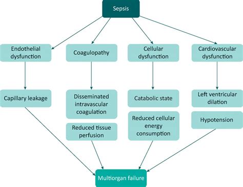 Diagnosis And Management Of Sepsis Rcp Journals