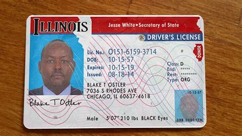 Illinois Driver License Psd Back And Front Contact Me On Icq