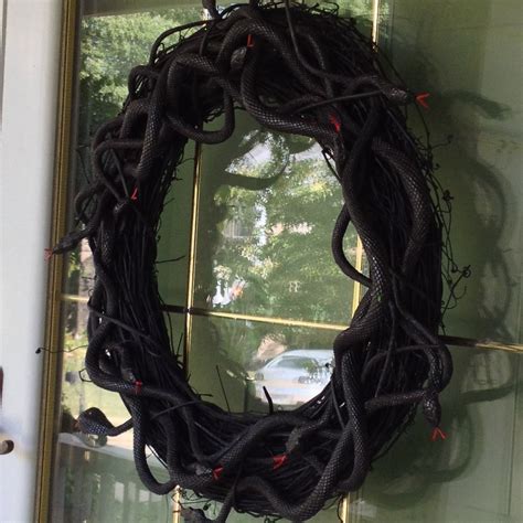 This Creepy Snake Wreath Is So Easy To Make I Bought 1 Grapevine