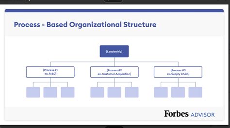 Organizational Structure Types With Examples