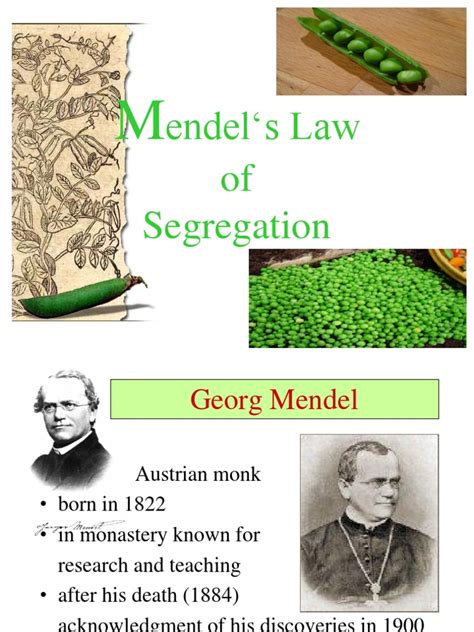 Mendel's law of segregation states individuals possess two alleles and a parent passes only one allele to his/her offspring. Mendels Law of Segregation | Dominance (Genetics) | Genotype