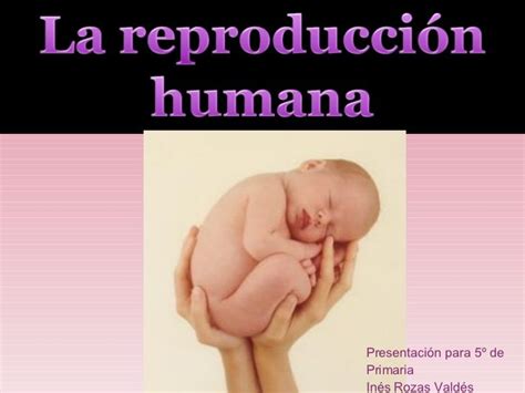 La Reproducción Humana Reproduccion Humana Ciencias Naturales 5