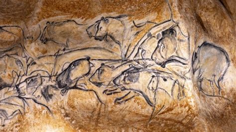 The grotte chauvet 2 can be booked with the pass'ardèche : Ardeche - Grotte Chauvet 2 2019 : Conférence par Carole ...