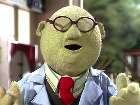 Dr Bunsen Honeydew The Muppets Characters The Muppet