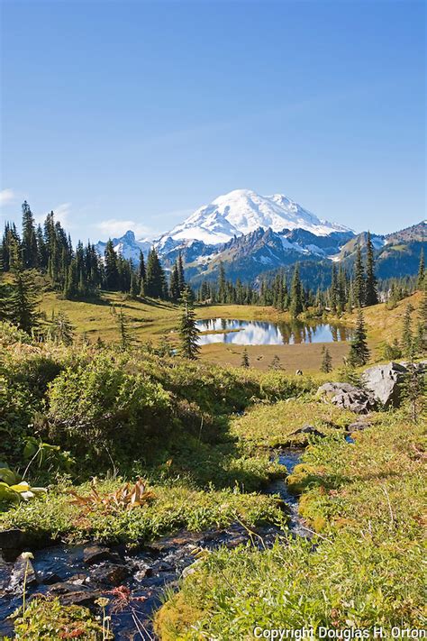 Upper Tipsoo Lake Mount Rainier National Park Douglas Orton Imaging