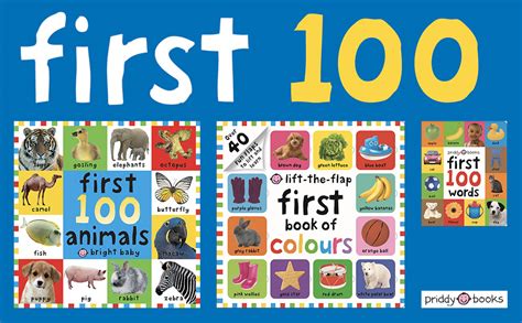 Padded board book introducing 100 essential first words and pictures. First 100 Words UK Board Book Edition Bright Baby First ...