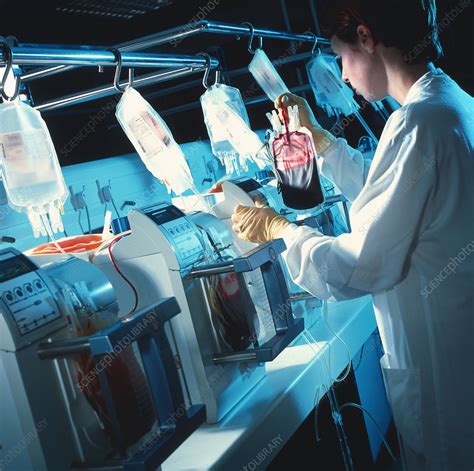 Blood Processing Stock Image M5320565 Science Photo Library