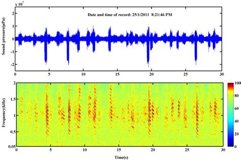 Waveform And Spectrogram Of The T Theraps Fish Chorus Download