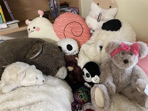Stuffed Animals Are Necessary The Campus