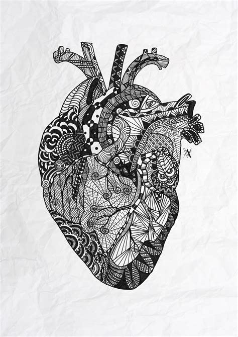Heart Anatomy And Doodle By Akumimpi Heart Art Print Anatomical Heart