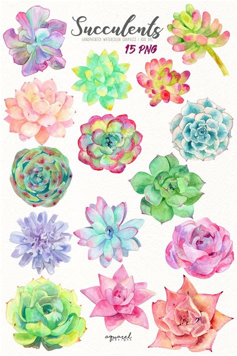 Watercolor Succulents, Succulent Clipart, Cactus Clipart, Succulent