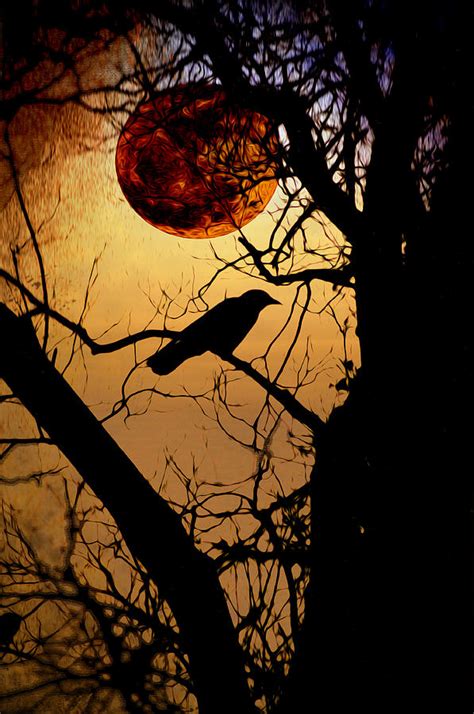 Raven Moon Photograph By Bill Cannon Fine Art America