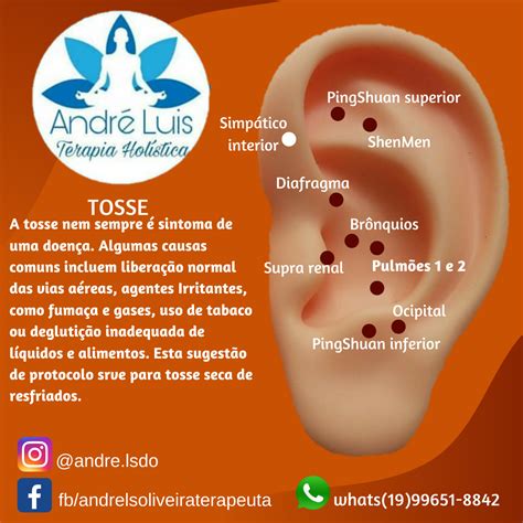 Pontos De Acupuntura Na Orelha Esquerda