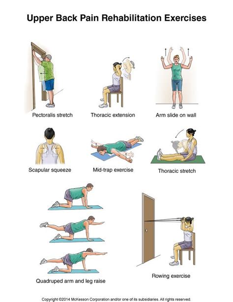Upper Back Exercises — Knotry