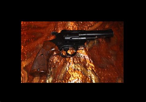 Rohm Rg 38s 38 Special Revolver Home