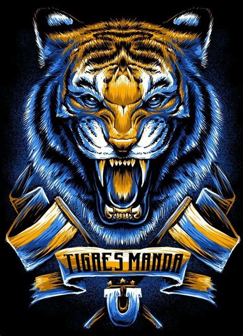Pin By Daniel V Zquez P Rez On Final Regia Tigres Campe N Tiger