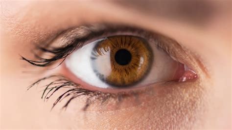 What Can Our Eyes Tell Us About Our Health Eyesight Associates