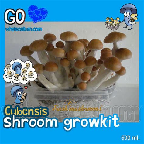 Psilove Go Kit Magic Truffles Magic Mushrooms Grow Kits