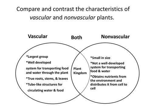 Compare And Contrast The Characteristics Of Vascular And Nonvascular