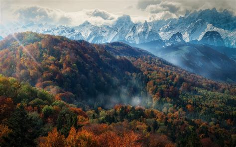 Wallpaper 2000x1250 Px Alps Clouds Fall Forest Landscape Mist