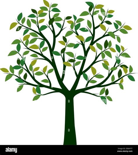 Green Tree Seasonal Plant Vector Illustration Stock Vector Image