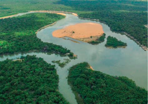 Río Orinoco Venezuela Plan De Acción Noticias Ambientales