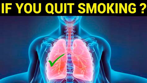 What Happens When You Stop Smoking Quit Smoking Effects On Body Youtube