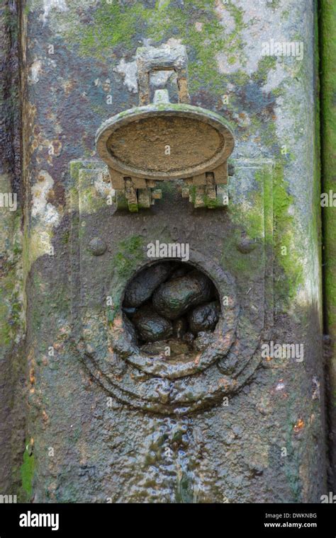 Sewage Pipe Water Hi Res Stock Photography And Images Alamy