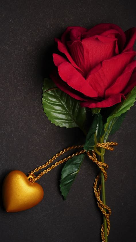 Hd Love Roses Wallpaper
