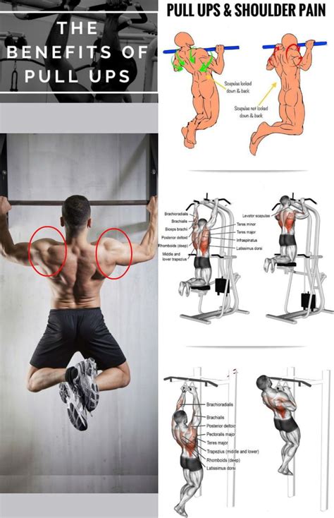 Building Upper Body Strength For Pull Ups Amazing Bodybuilding