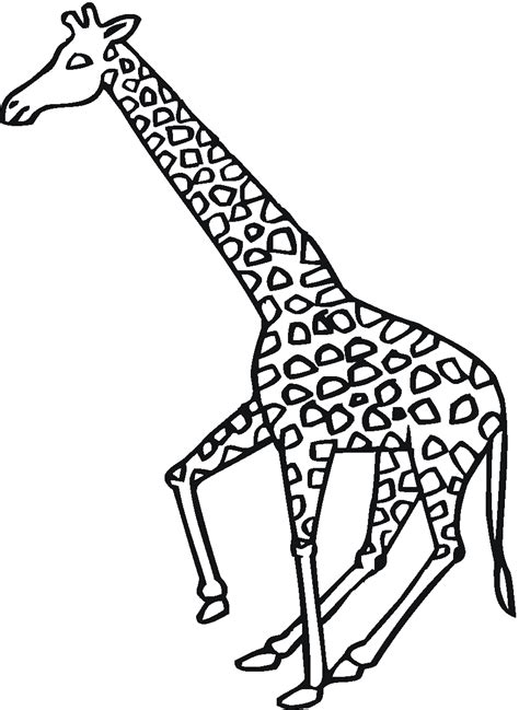 Bluebonkers home › kids activities › kids coloring pages. Free Giraffe Coloring Pages
