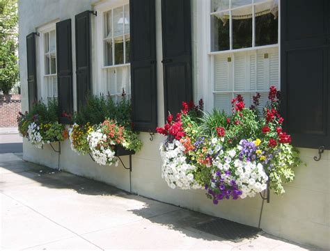 Apr 18, 2001 · shop costco's charleston, sc location for electronics, groceries, small appliances, and more. Beautiful flower boxes, Downtown Charleston | Gorgeous ...