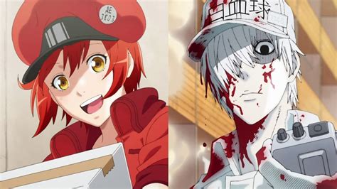 Cells At Work Episode 1 Review An Epic Adventure In The Human Body