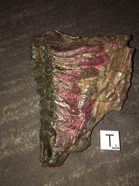 Whats This Reddish Purplish Coloration Fossil Id The Fossil Forum