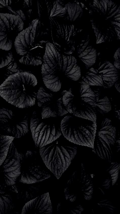 Aesthetic Black Flower Wallpapers Wallpaper Cave