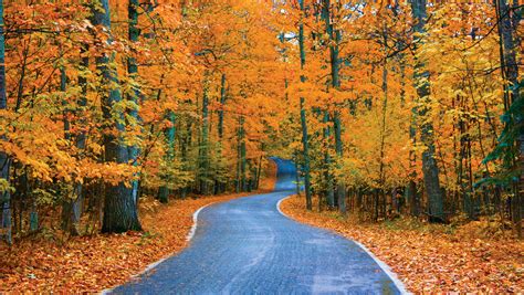 Michigan's top fall color spot is Tunnel of Trees