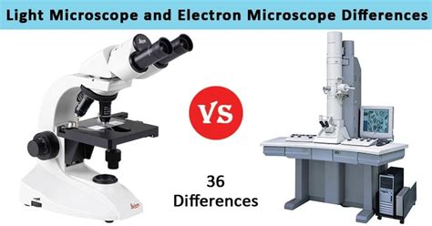 Light Microscope Vs Electron Microscope 36 Major Differences