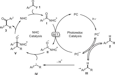 Plausible Reaction Mechanism Cooperative Nhc Photoredox Catalysis Where