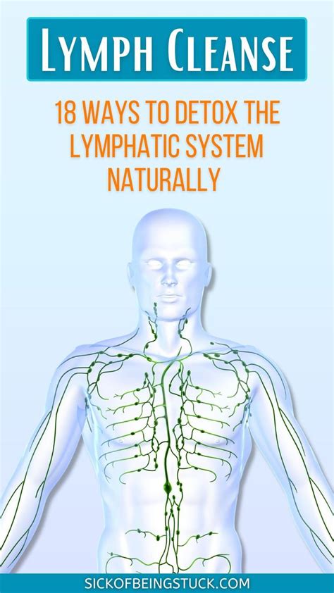 Lymph Detox 18 Ways To Cleanse The Clogged Lymphatic System Naturally