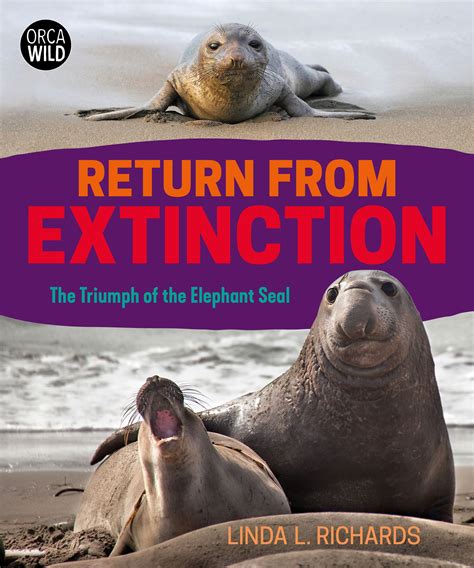 Return from Extinction: The Triumph of the Elephant Seal by author