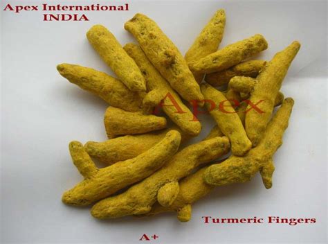Yellow Turmeric Finger At Best Price Inr Kilogram In Jaipur