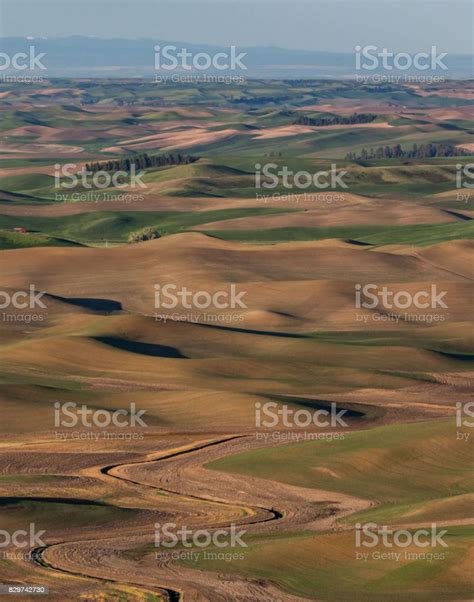 Steptoe Butte Hills Stock Photo Download Image Now Hill Range