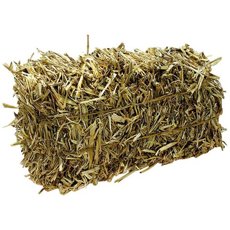 Barley Straw Mini Bale 4 5 In X 6 In X 12 In