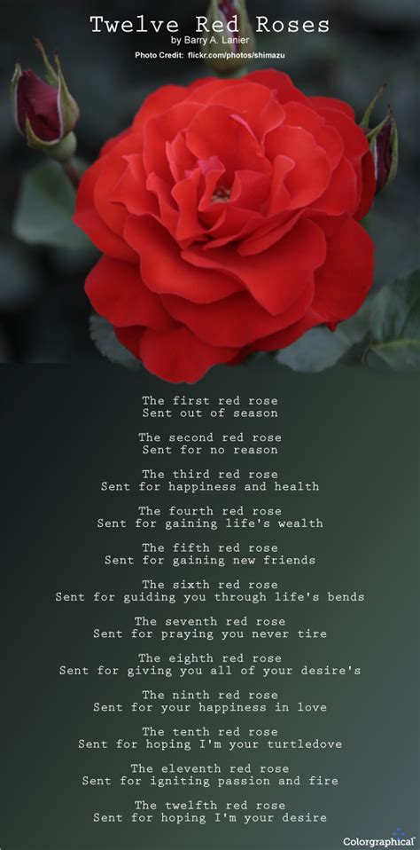 Roses Meaning And Symbolism