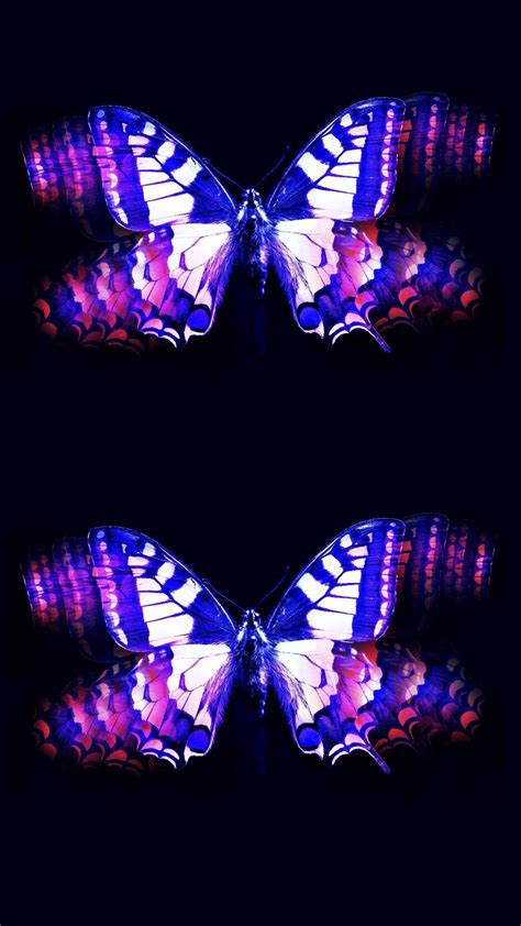 High Resolution Purple Butterfly Wallpaper Pictures