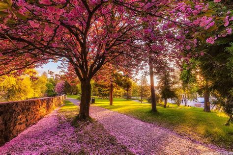 Colorful Spring Morning Beautiful Landscapes Spring Landscape Landscape