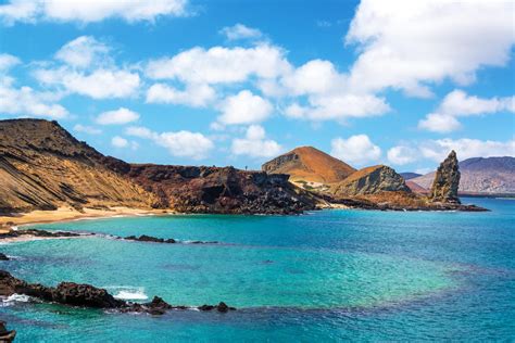 Weitere ideen zu galapagos inseln, galapagosinseln, ecuador reise. Galapagos Inseln | Einzigartige Flora und Fauna