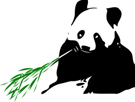 400 Free Panda Bear And Panda Images Pixabay