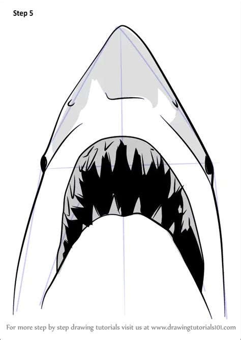 Learn How To Draw Jaws Shark Other Animals Step By Step Drawing